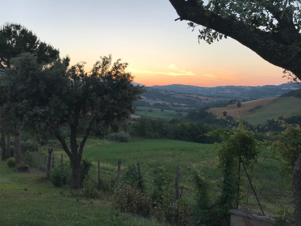 Natural landscape