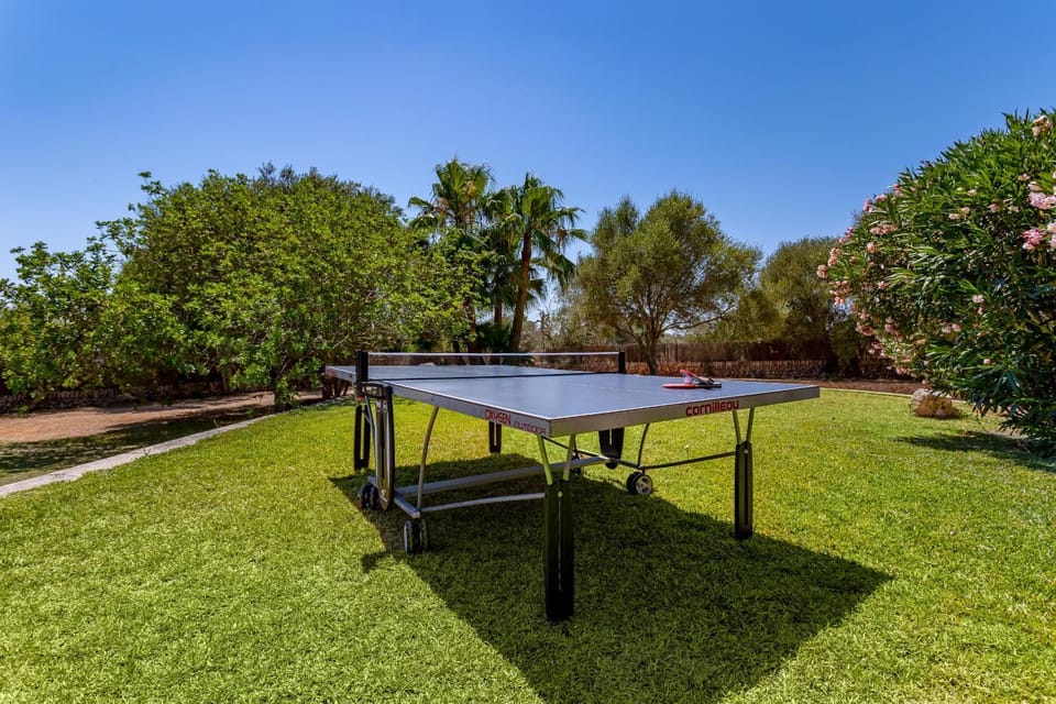 Patio, Garden, Garden view