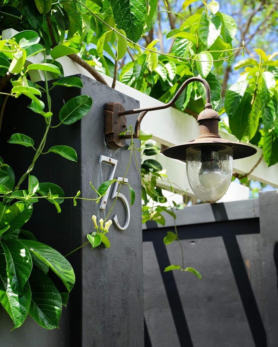 Spring, Day, Garden, Garden view, Street view, Quiet street view