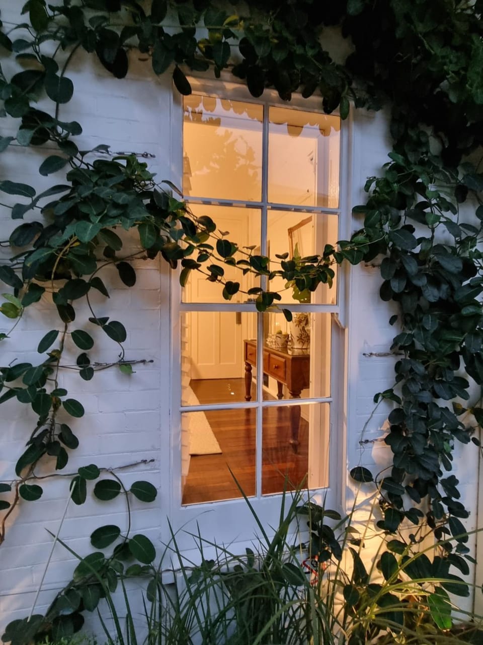 Night, Garden, Garden view