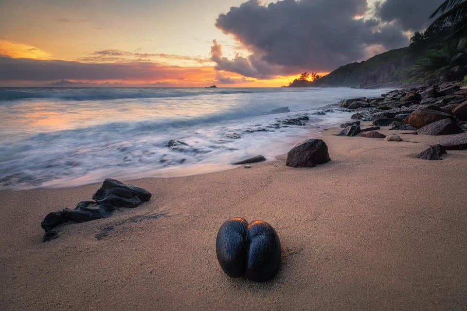 Natural landscape, Beach