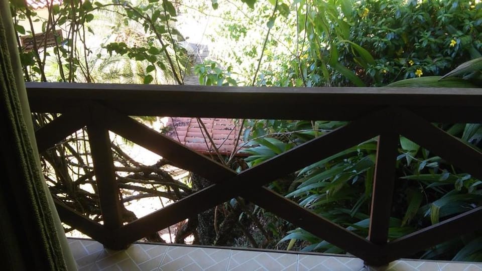 Cheiro de Mata Pousada e Restaurante - 15 Km da Terra dos Dinos em Miguel Pereira Hotel in State of Rio de Janeiro