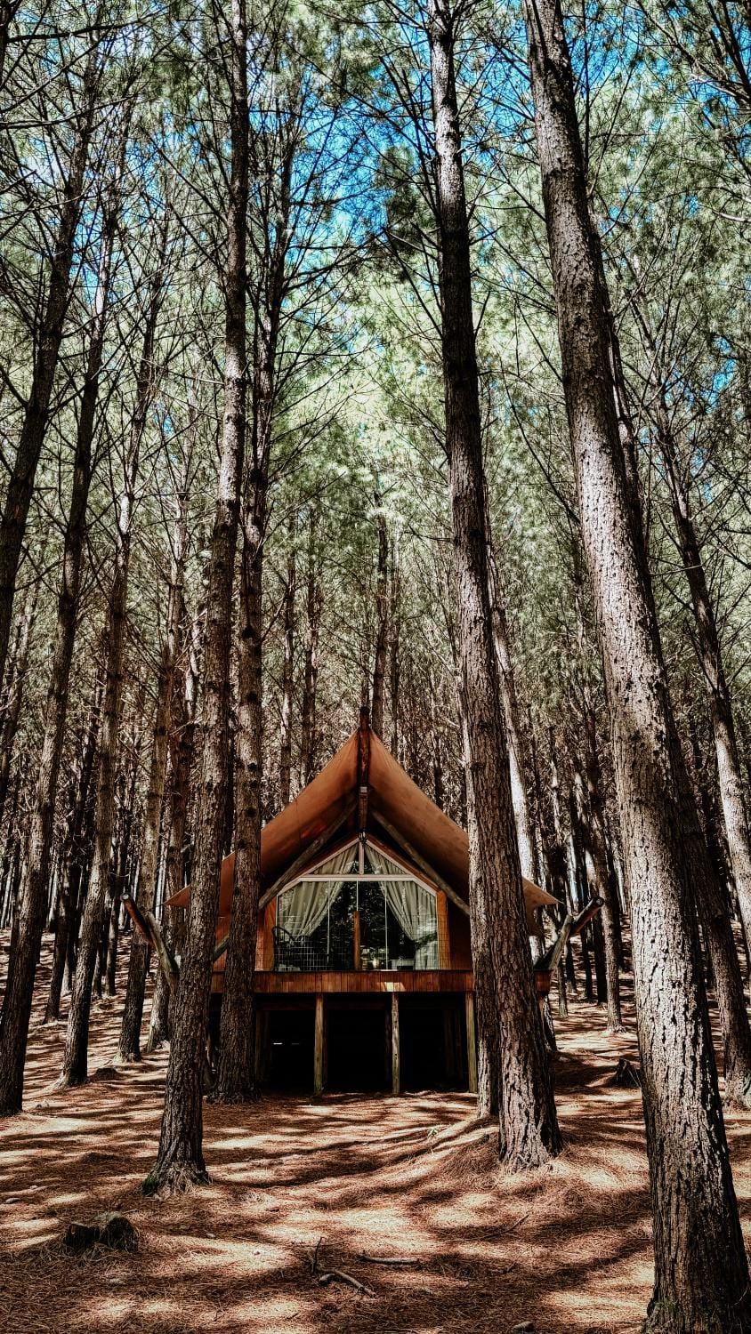 Tedesco Eco Park Luxury tent in State of Santa Catarina