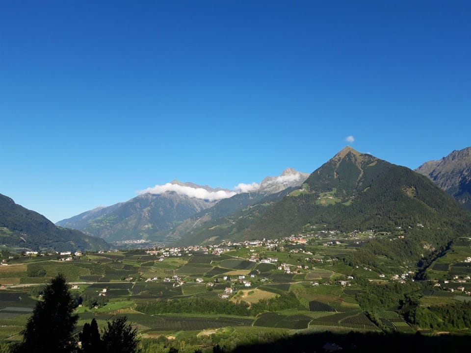 Mountain view