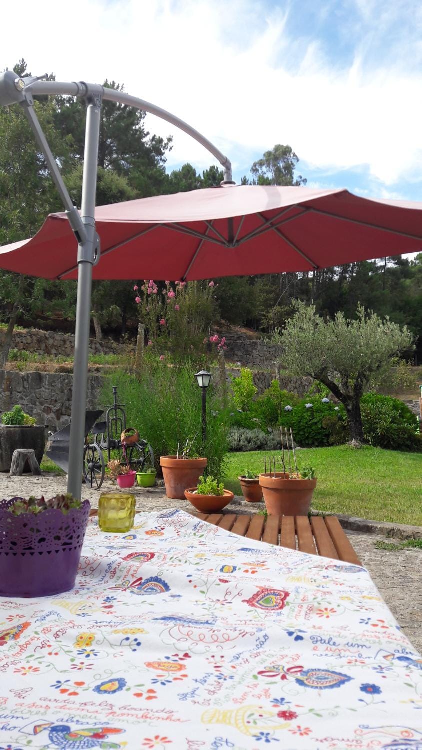 Property building, Patio