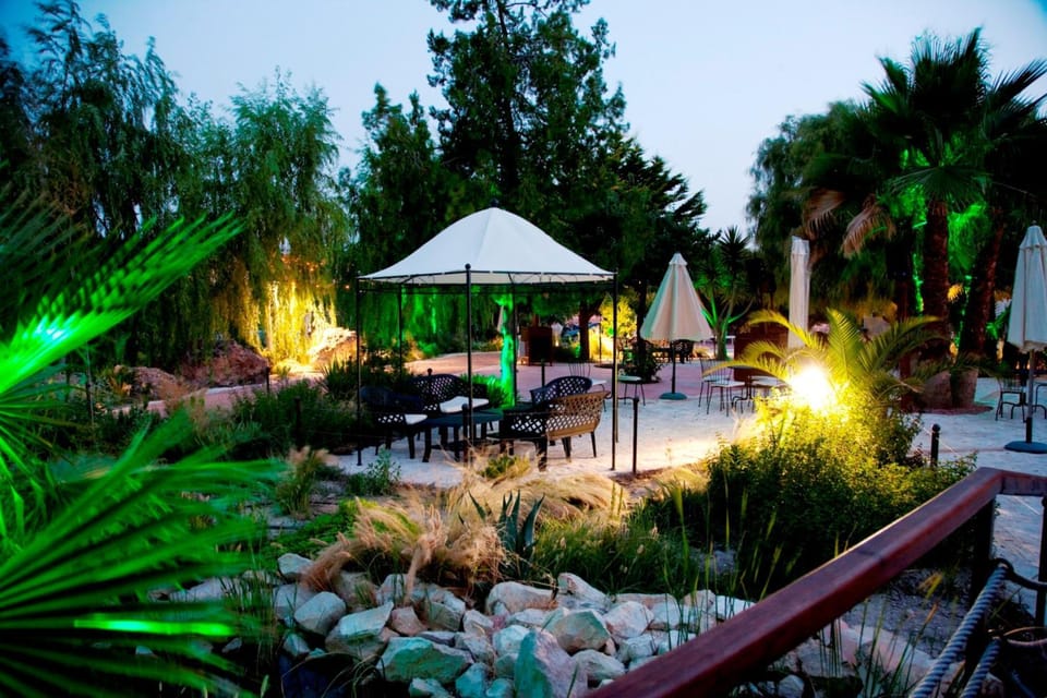 Garden, Lounge or bar