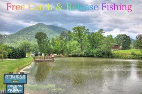 Majestic Hollow Chalet in Sevier County