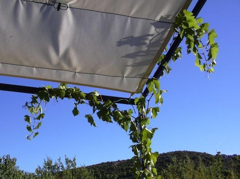 Chambres d'Hôtes Le Cadran Solaire Bed and Breakfast in Occitanie