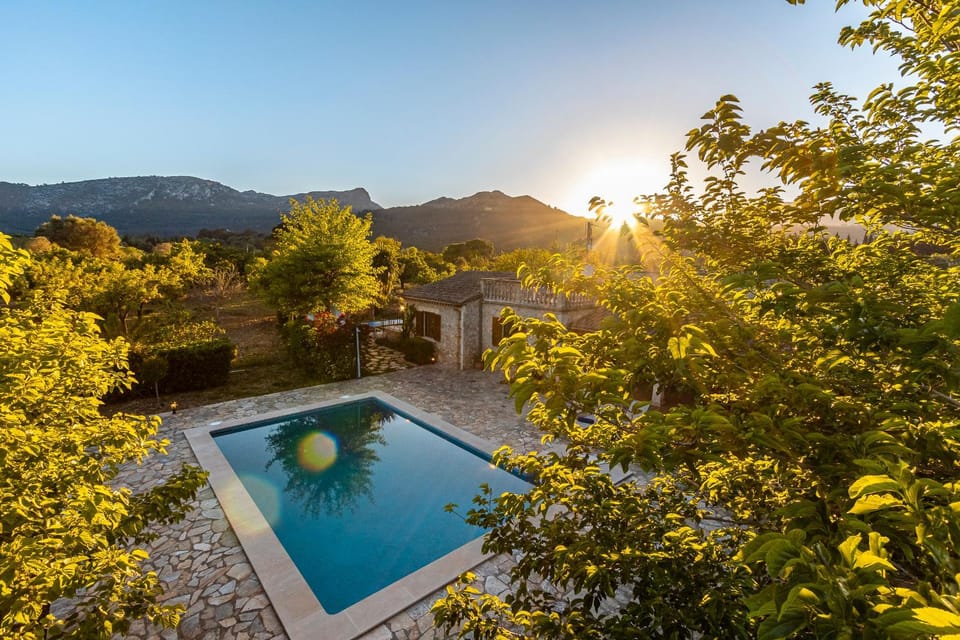 Pool view, Swimming pool, Swimming pool, Sunrise
