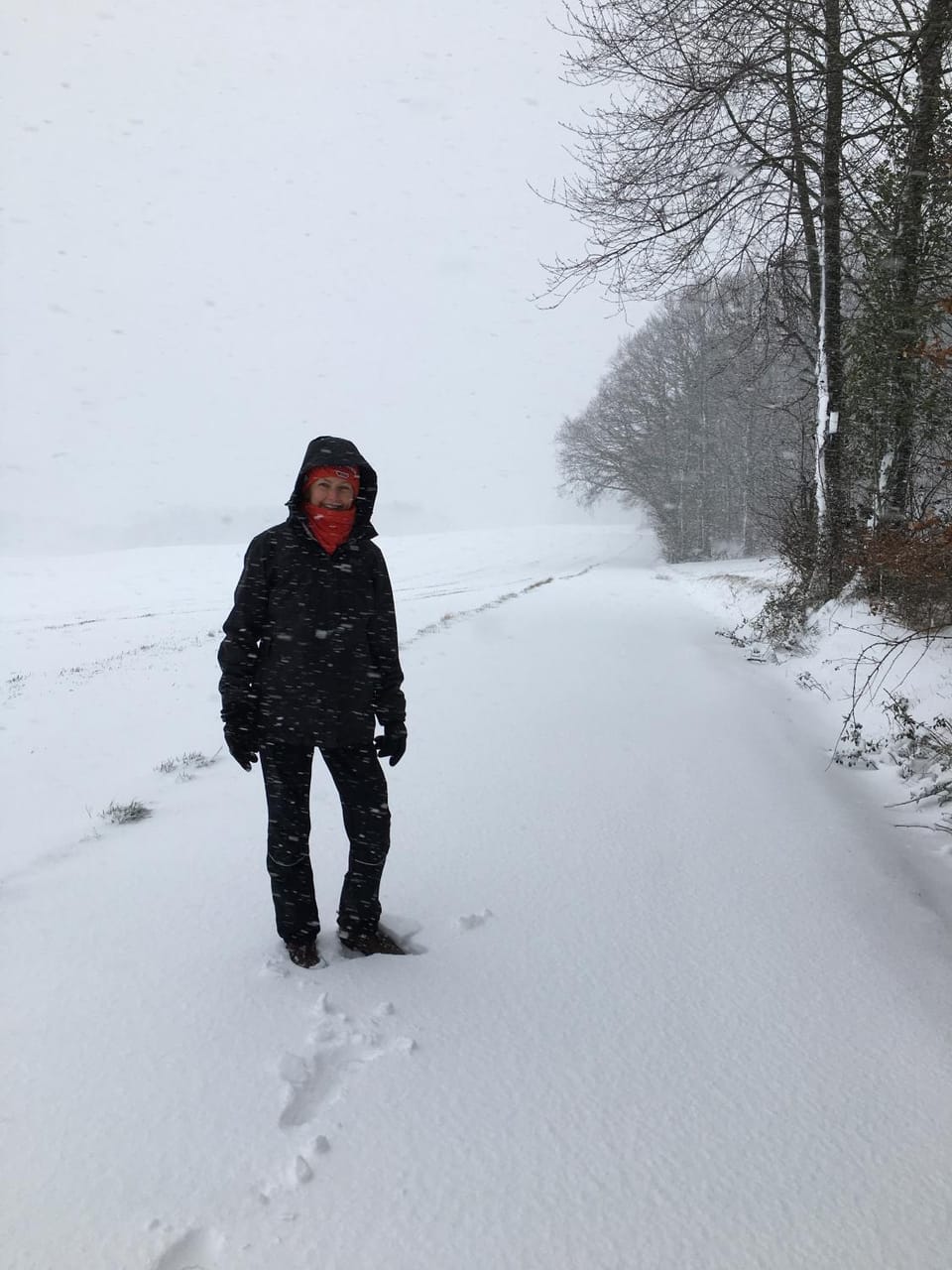 Natural landscape, Activities, Winter