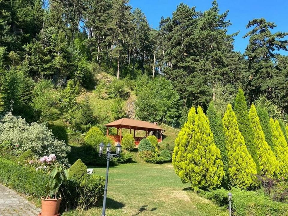 Garden, Garden view