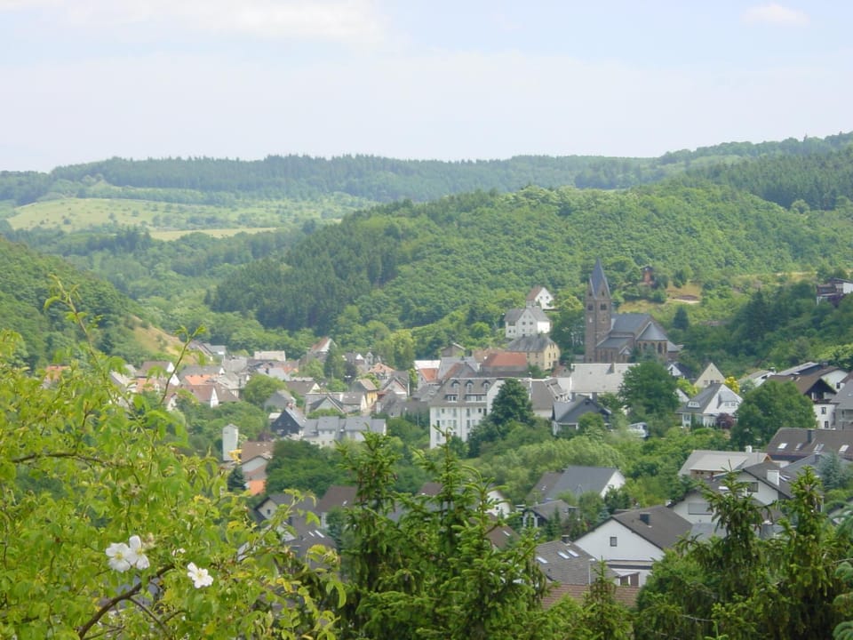 View (from property/room), Cycling