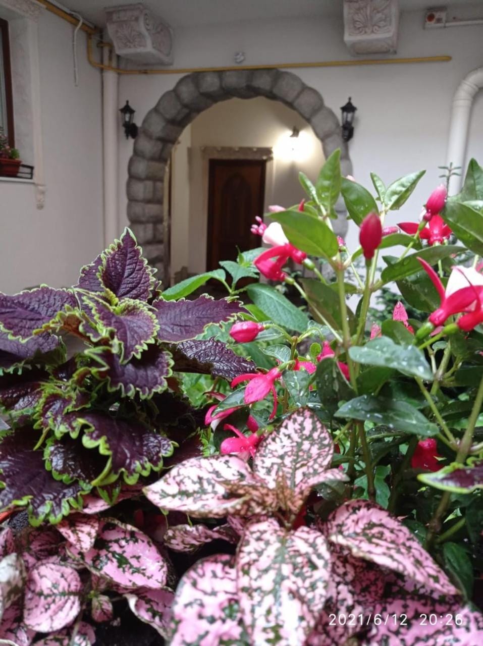 Patio, Balcony/Terrace