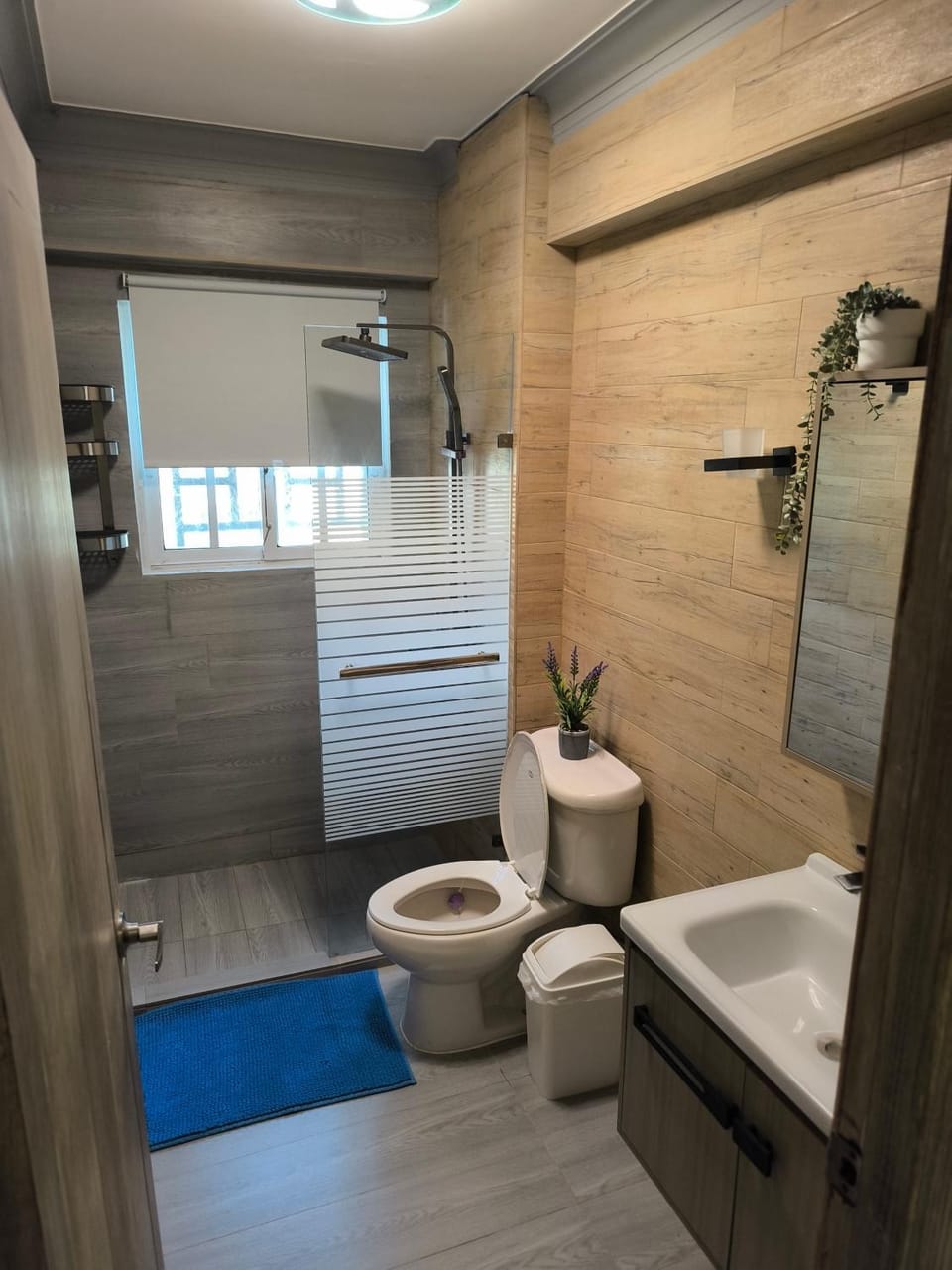 Las Palmeras RIKI R Apartment in Boca Chica