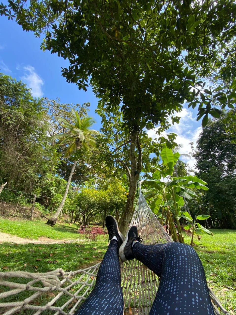 Natural landscape, Garden view