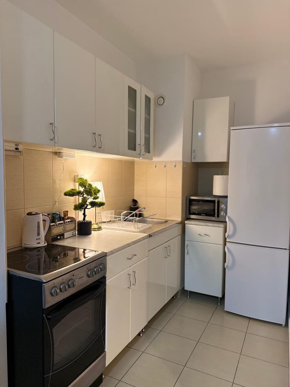 Coffee/tea facilities, Kitchen or kitchenette, oven, stove