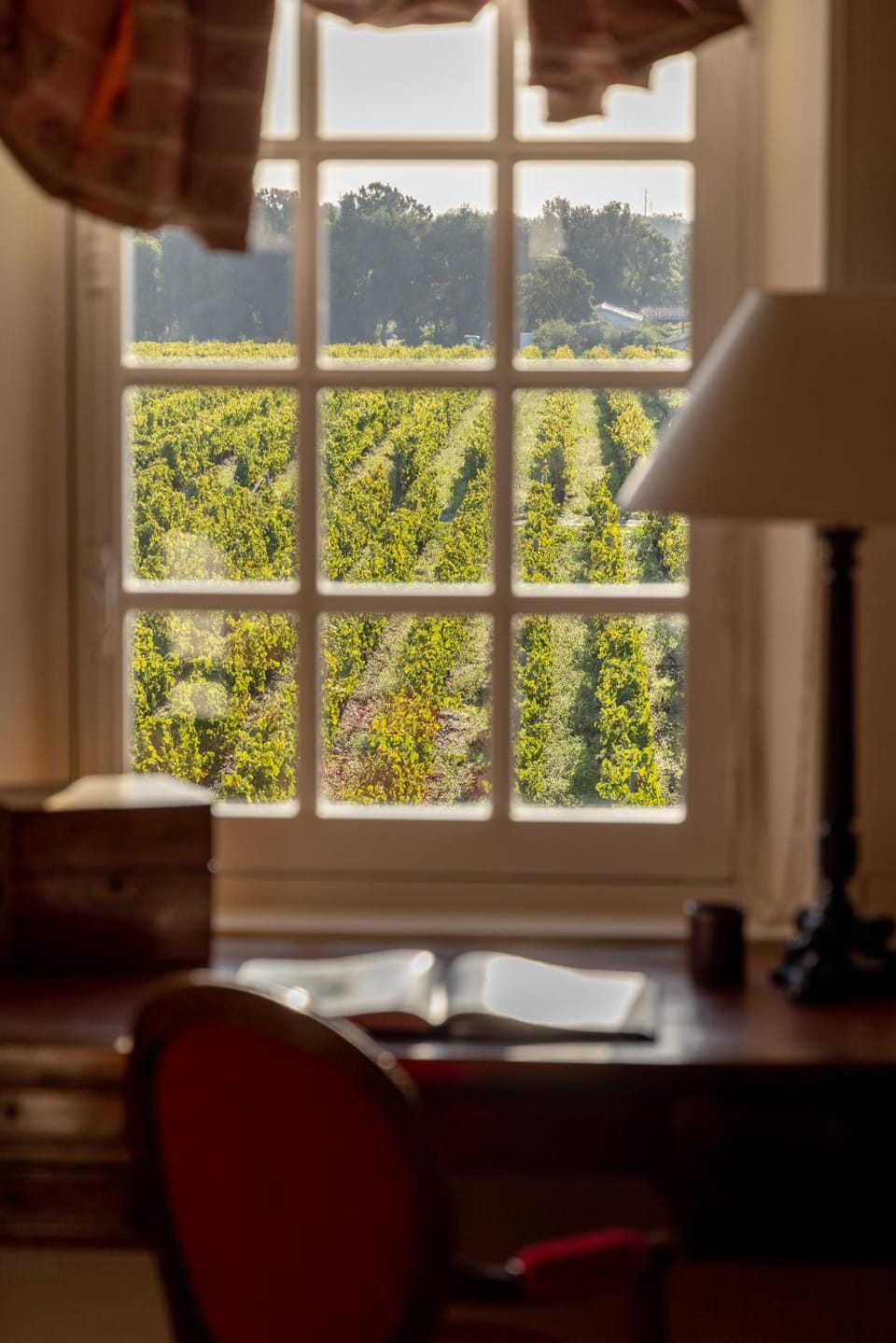 Natural landscape, View (from property/room)