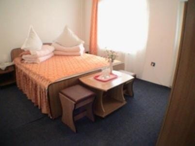 Vila Cristina Bed and Breakfast in Romania