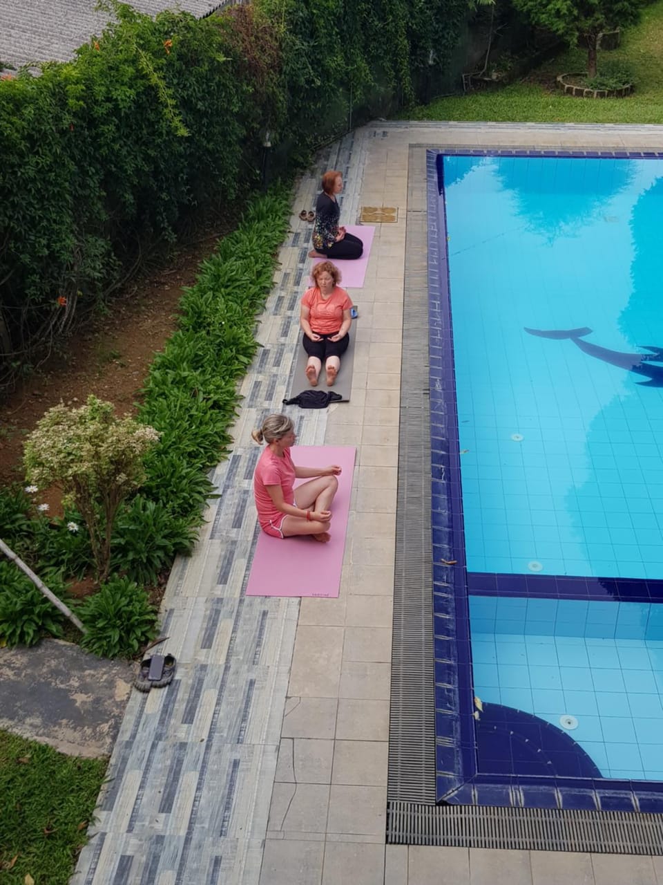 People, Pool view, Swimming pool, group of guests