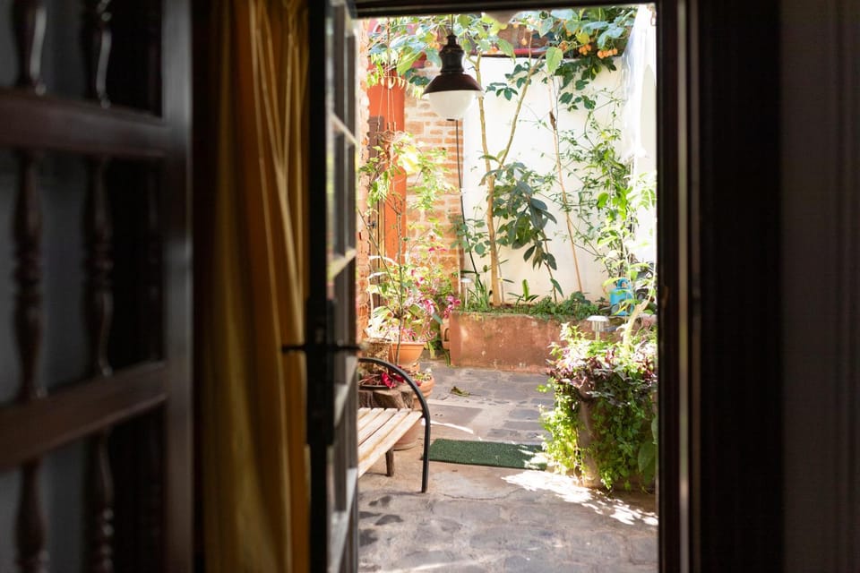 Patio, Garden, Garden view