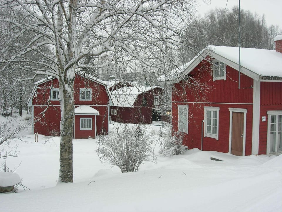 Winter