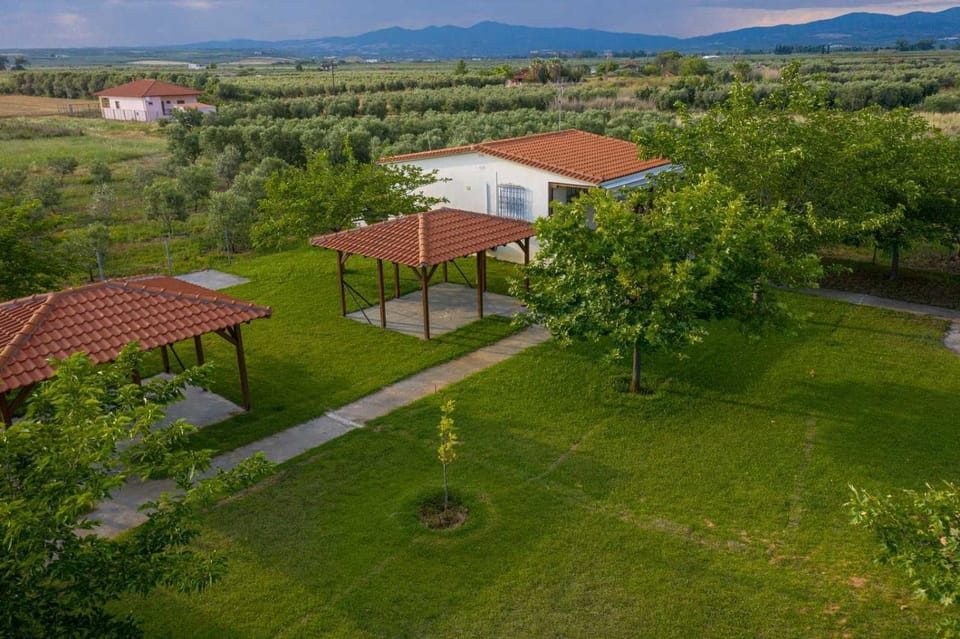 Mama's Twin Houses House in Halkidiki