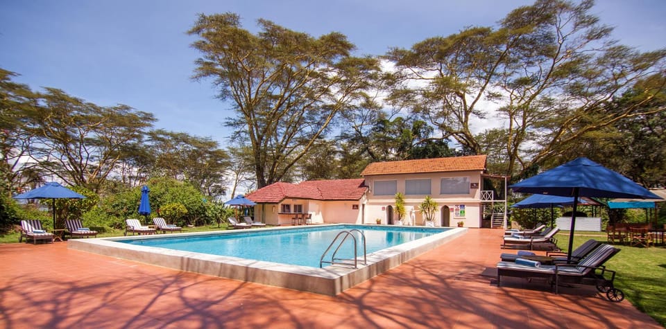Pool view, Swimming pool