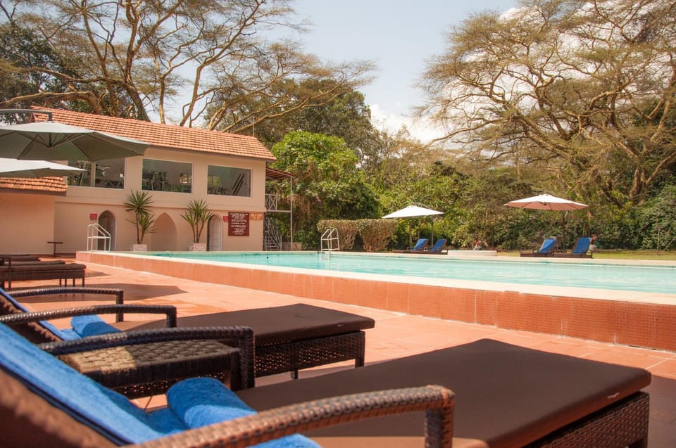 Swimming pool, Swimming pool