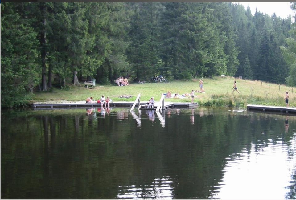 Lake view