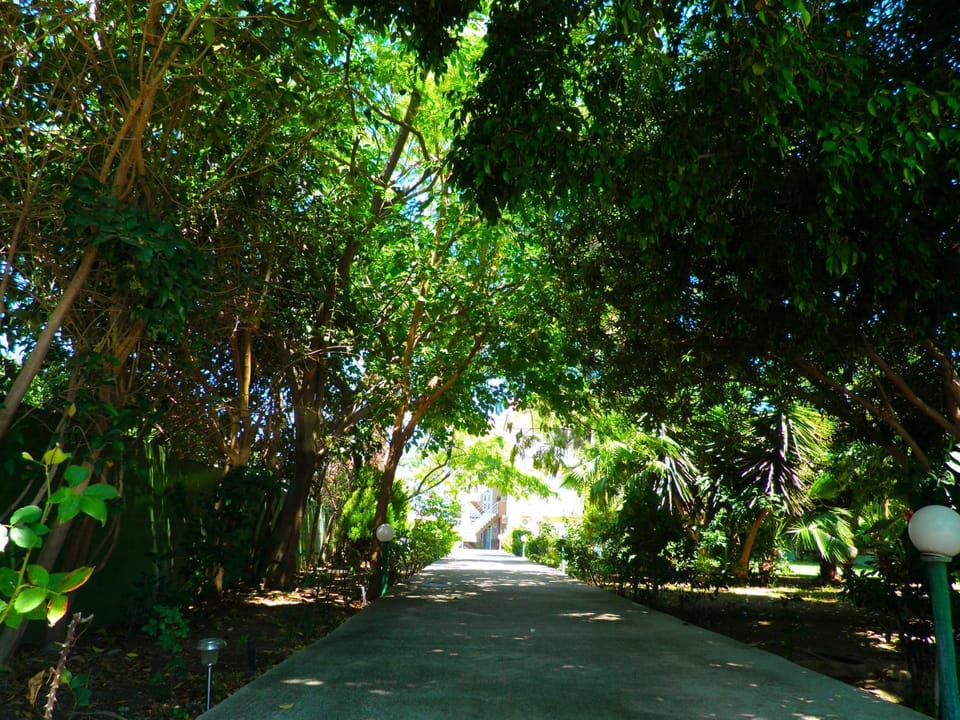 Day, Natural landscape, Garden