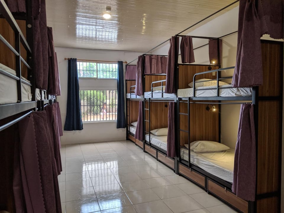 bunk bed