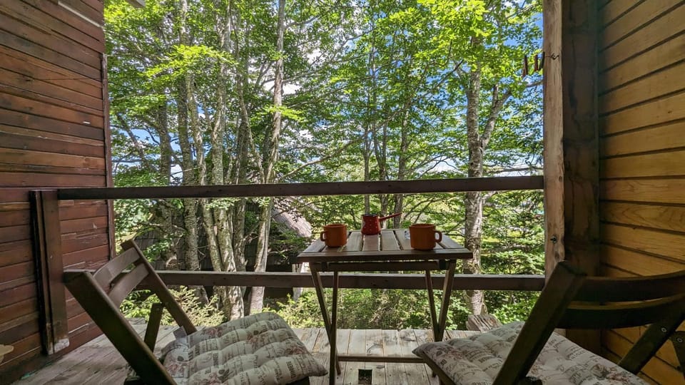 Balcony/Terrace, Garden view