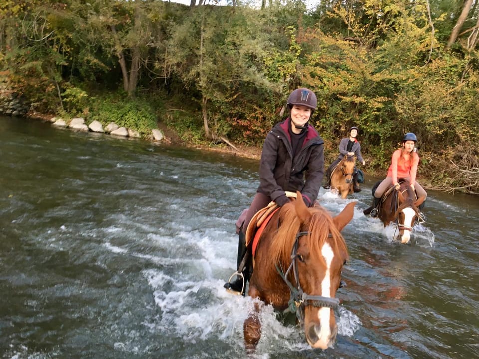 Activities