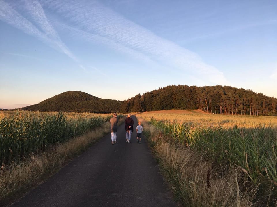 Natural landscape