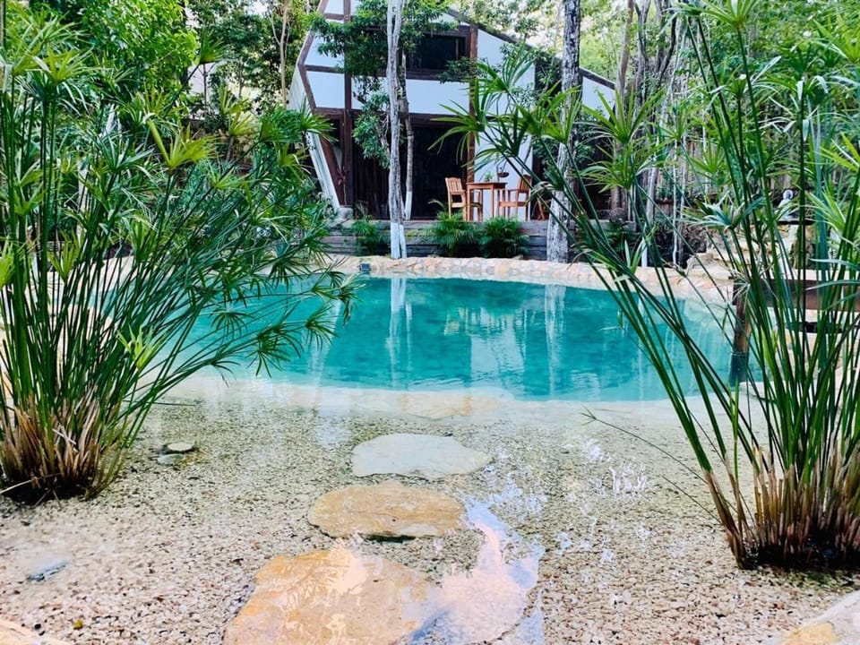 Day, Garden, Swimming pool