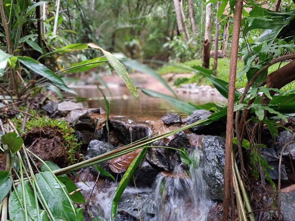 Aruá Observação de Vida Silvestre Nature lodge in State of Bahia