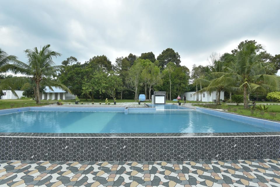 Swimming pool
