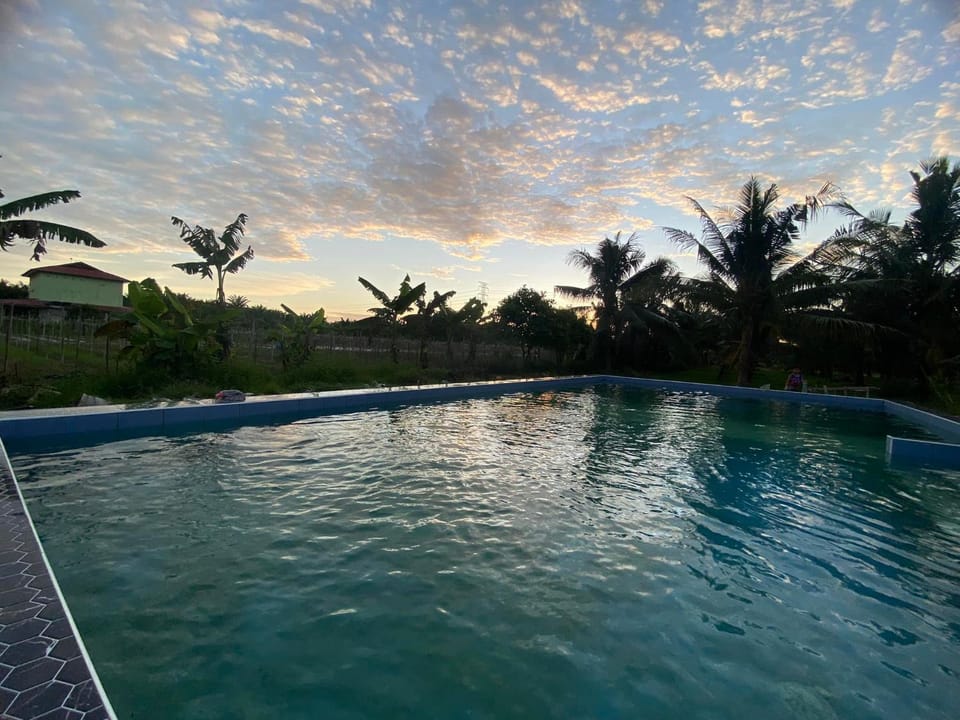 Swimming pool, Swimming pool
