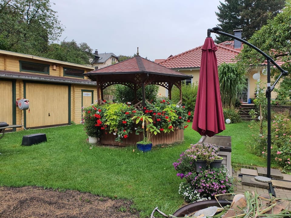 Garden view