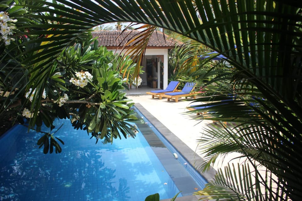 Pool view