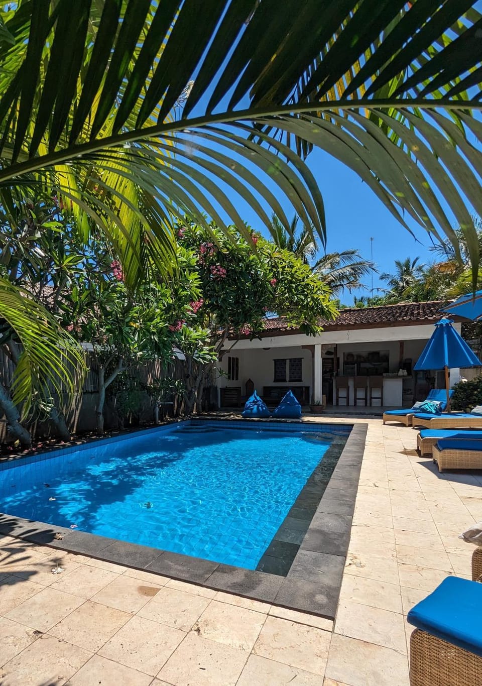 Indigo Bungalows Bed and Breakfast in Pemenang