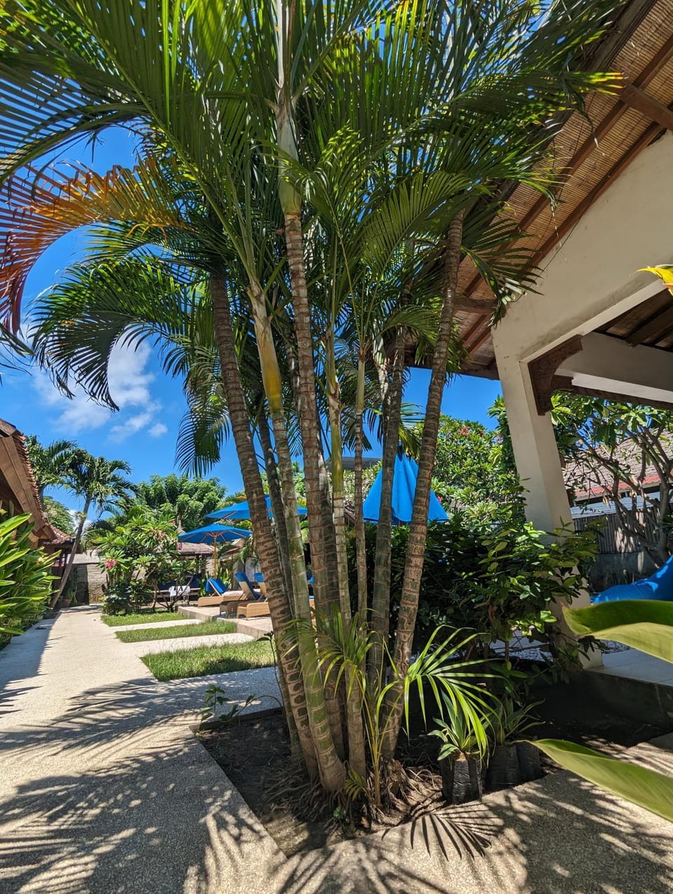 Indigo Bungalows Bed and Breakfast in Pemenang