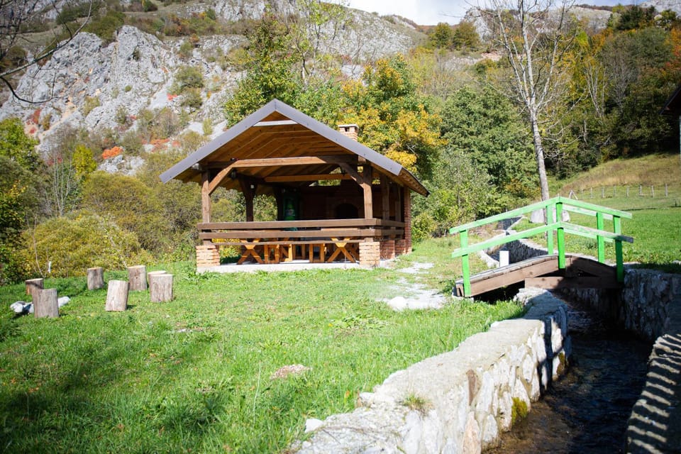 Spring, Day, Natural landscape, Garden, Garden view