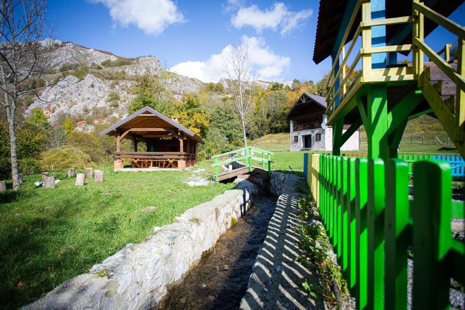 Day, Natural landscape, Garden, Garden view