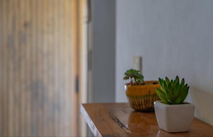 Casita con parque Pet Friendly a 2 cuadras de la playa Apartment in Mar del Plata