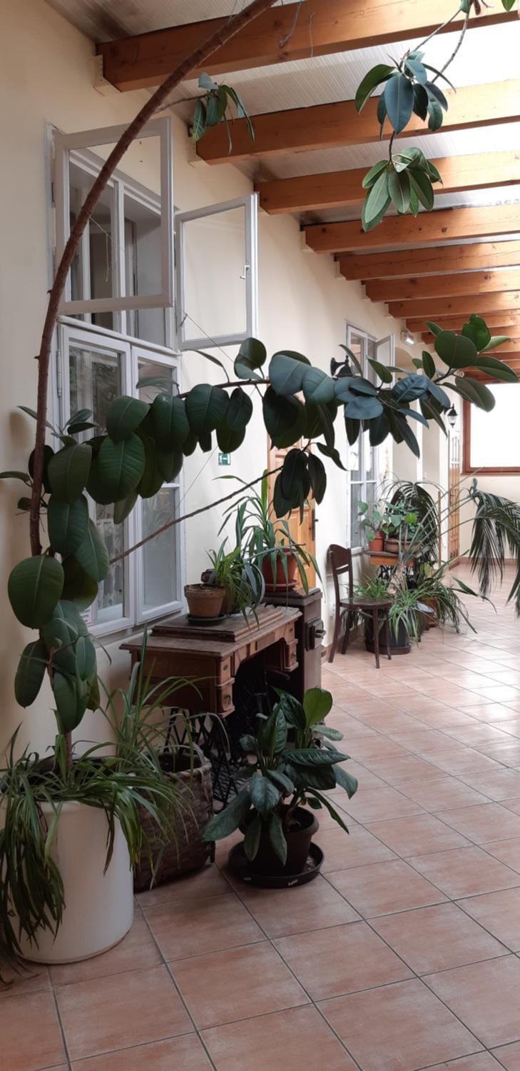 Victoria - Penzion & Restaurant Bed and Breakfast in Slovakia