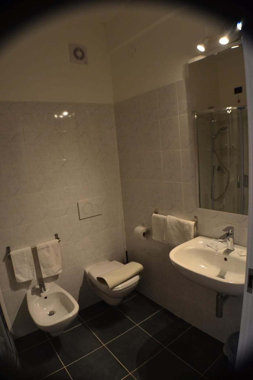 Shower, Toilet, Bathroom, bidet