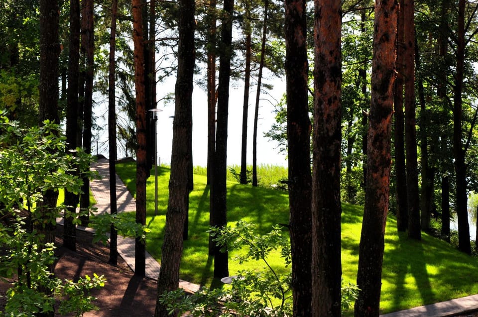 Natural landscape