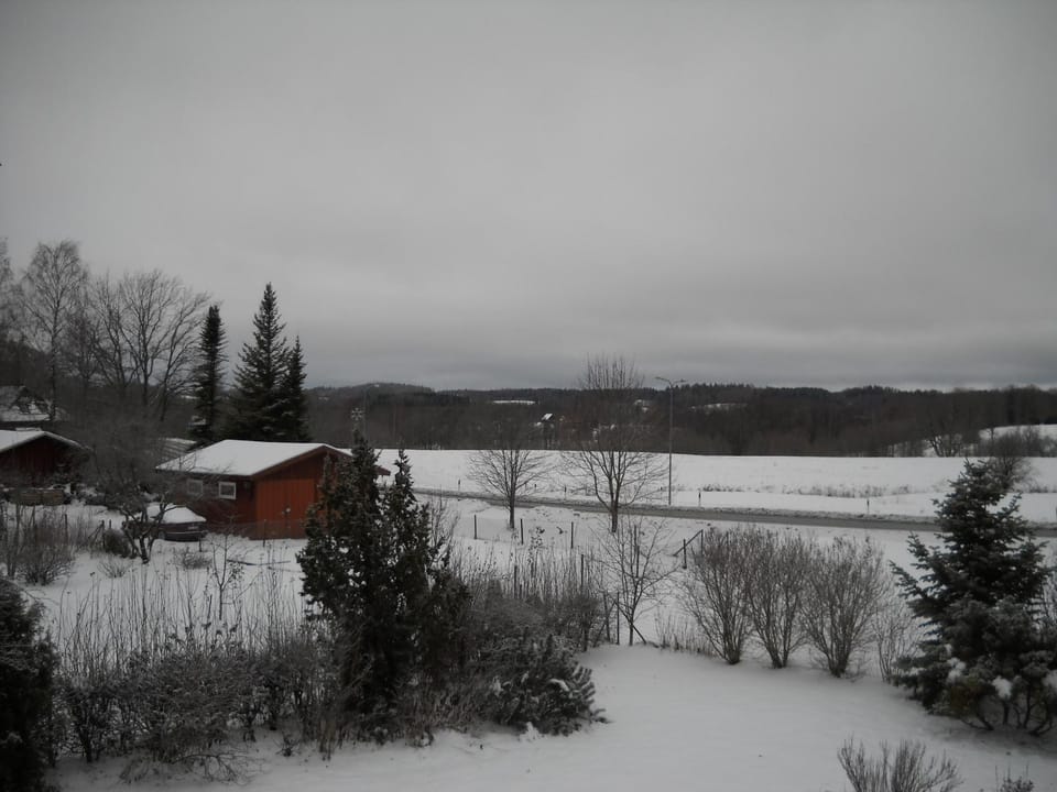 Saaremäe Bed and Breakfast in Estonia