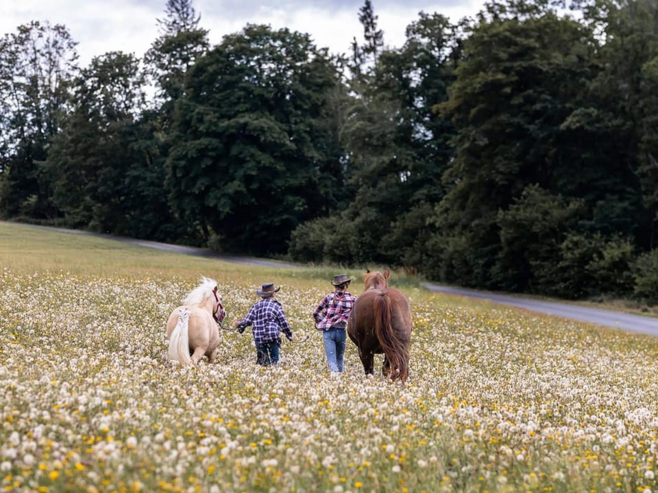 Animals